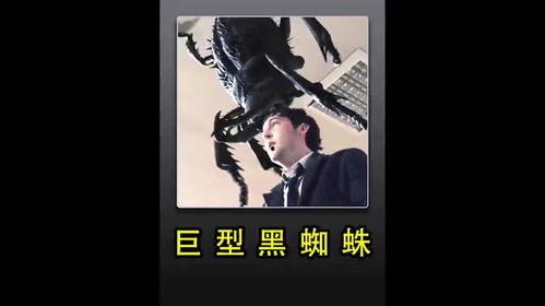每日影视推荐,探索光影世界，邂逅经典佳作